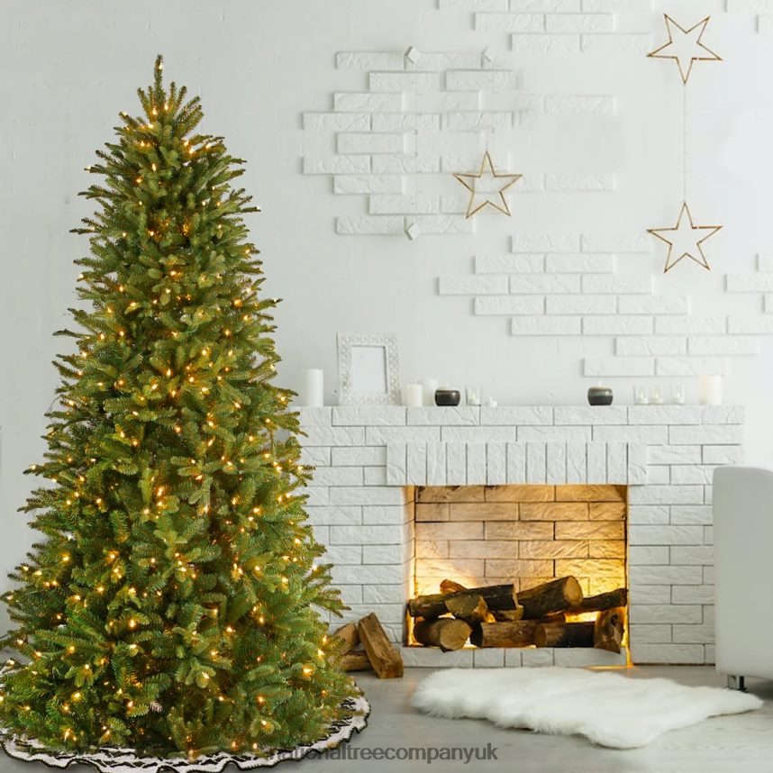 Trees | National Tree Company Pre-Lit \Feel Real\ Artificial Slim Christmas Tree Green Tiffany Fir White Lights Includes Stand 65 Feet F2L4F18